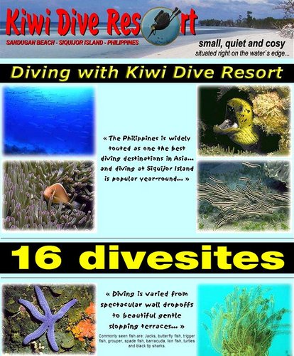 Kiwi Dive Resort, Siquijor Island